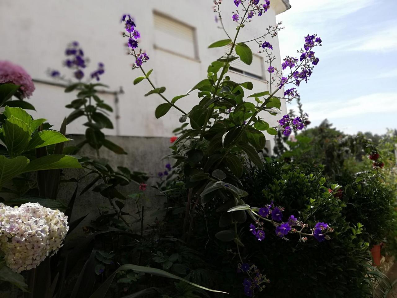 Residencial Idalio Hotel Odemira Exterior photo